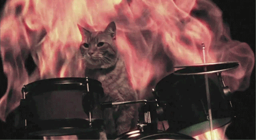 cat_flame_drum.gif